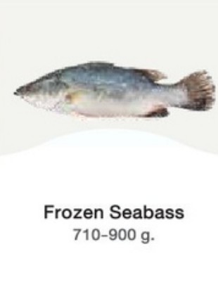 Frozen Seabass