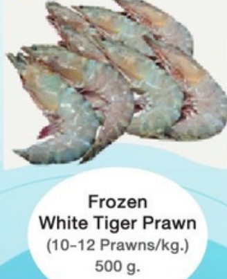 Frozen White Tiger Prawn
