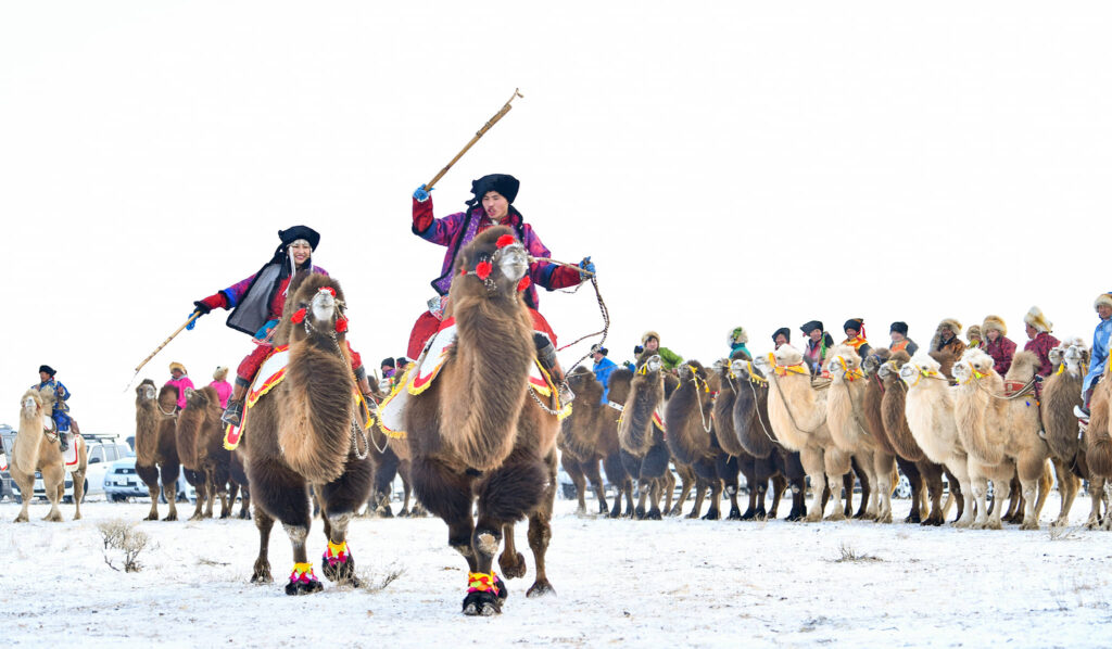 Camel Festival: Second Day & Yol Gorge